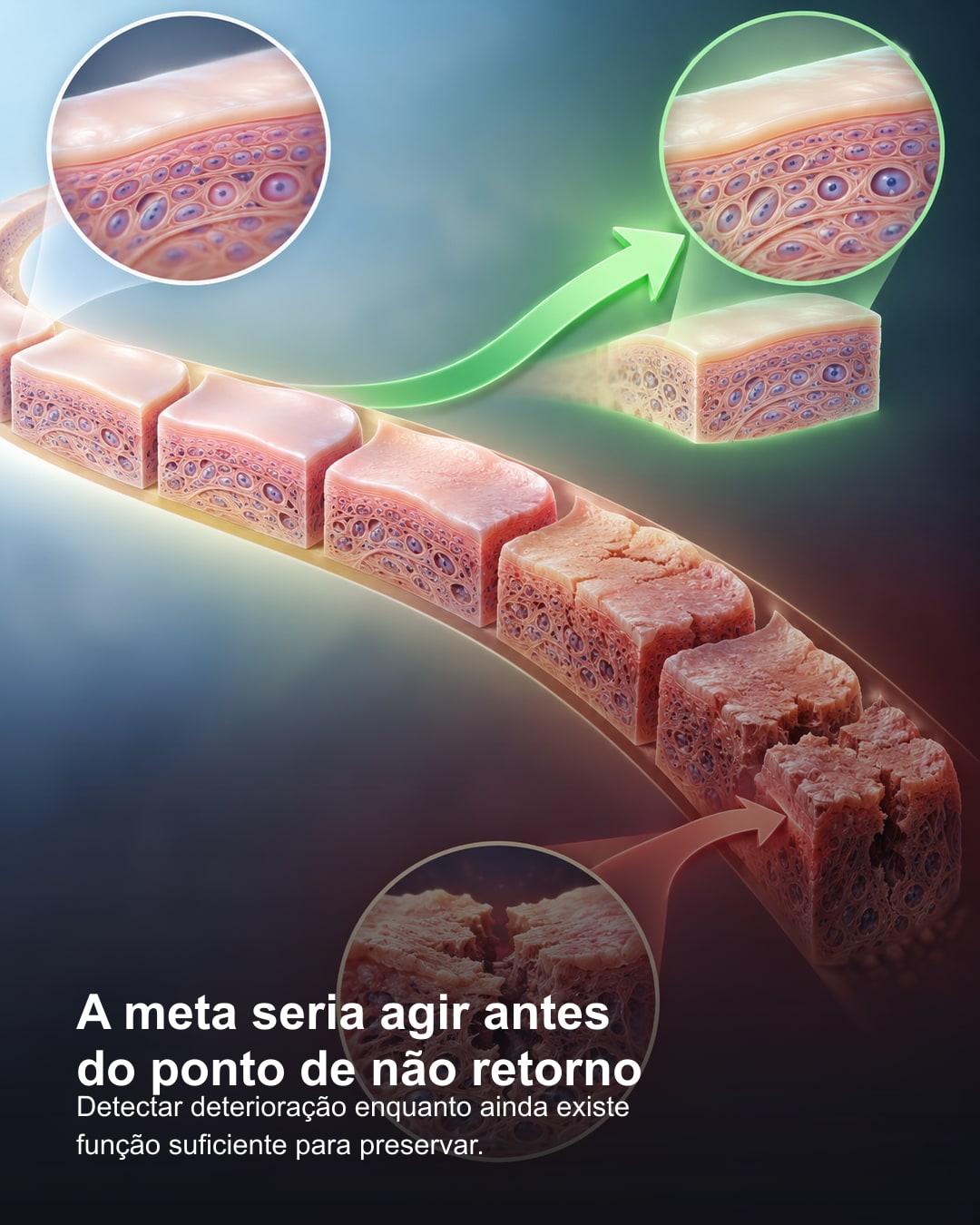 Infográfico complementar da matéria: O corpo humano poderia funcionar com manutenção preditiva?